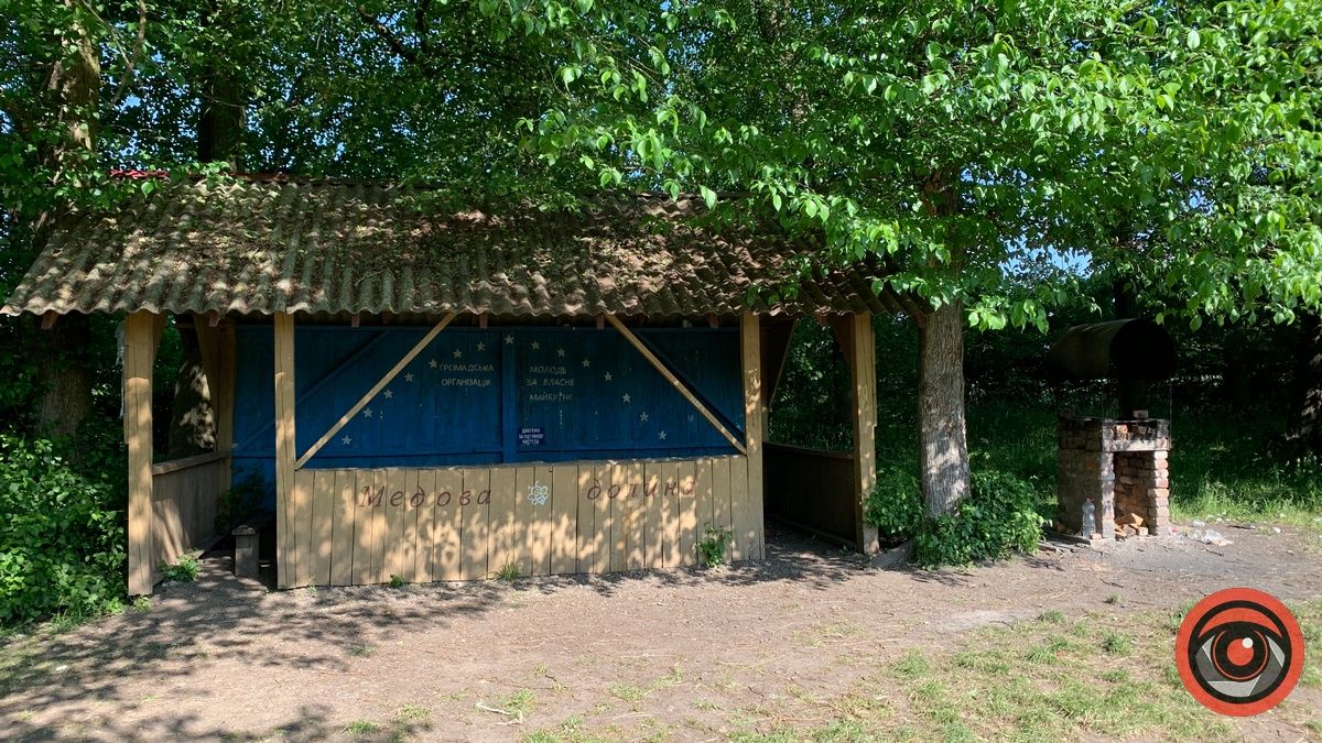 Медова долина у П'ядиках: зелене місце для активного відпочинку з дітьми 4