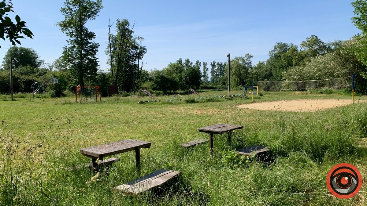 Медова долина у П'ядиках: зелене місце для активного відпочинку з дітьми 5