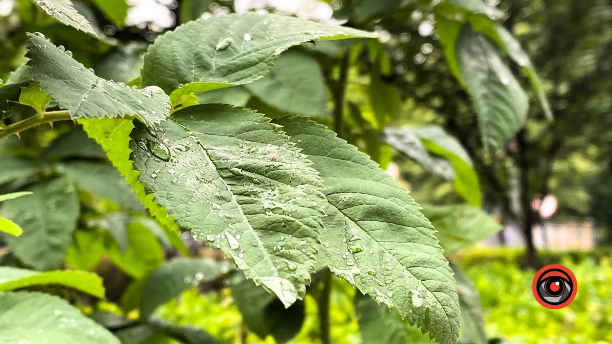 Насуплена Коломия | недільний фоторепортаж від Інформатора 3