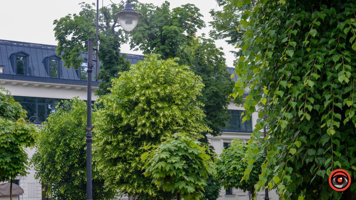 Прогулянка Коломиєю під літнім дощем | Фоторепортаж 5