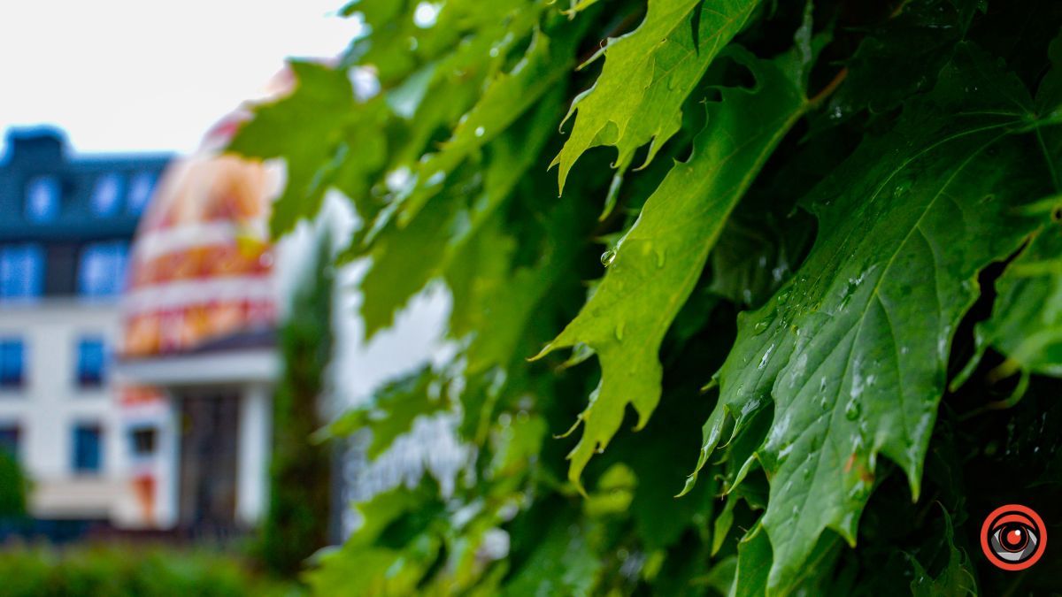 Коломия в червні | Фотоархів 2023 року 14