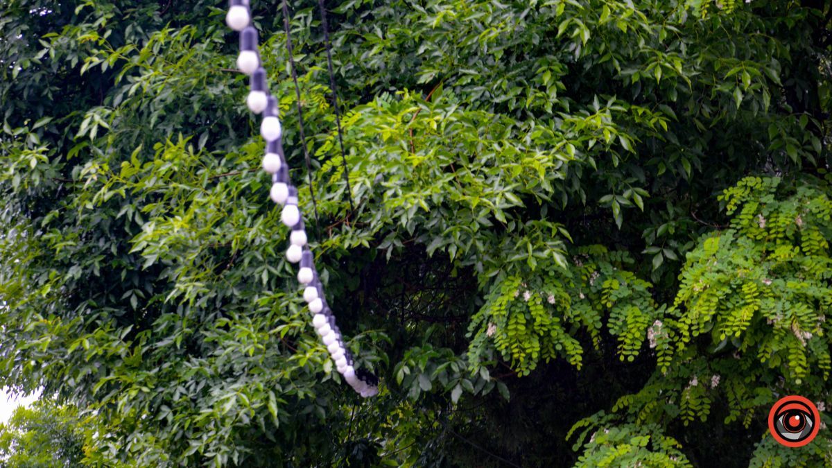 Прогулянка Коломиєю під літнім дощем | Фоторепортаж 17