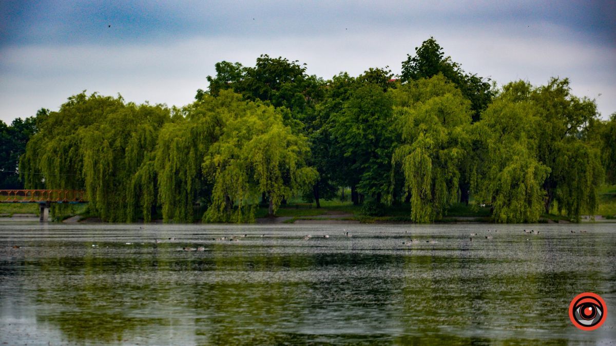 Коломия в червні | Фотоархів 2023 року 9