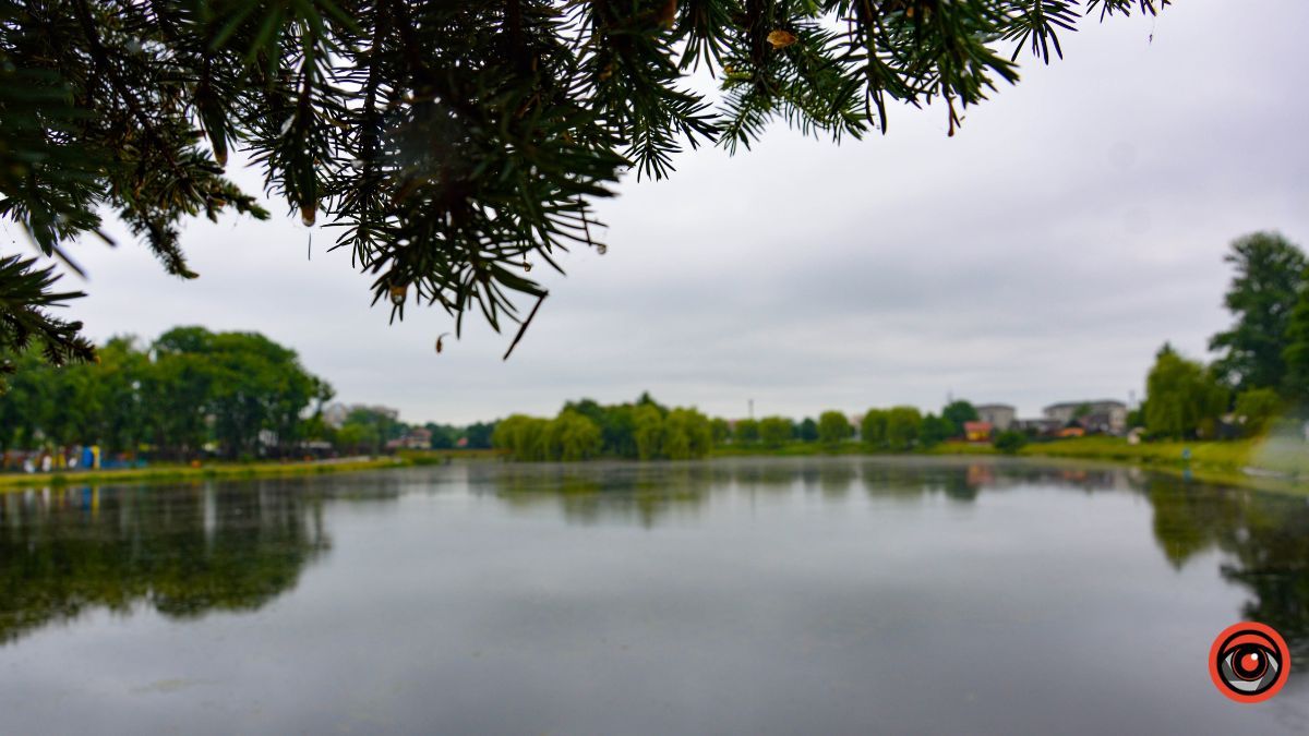 Прогулянка Коломиєю під літнім дощем | Фоторепортаж 15