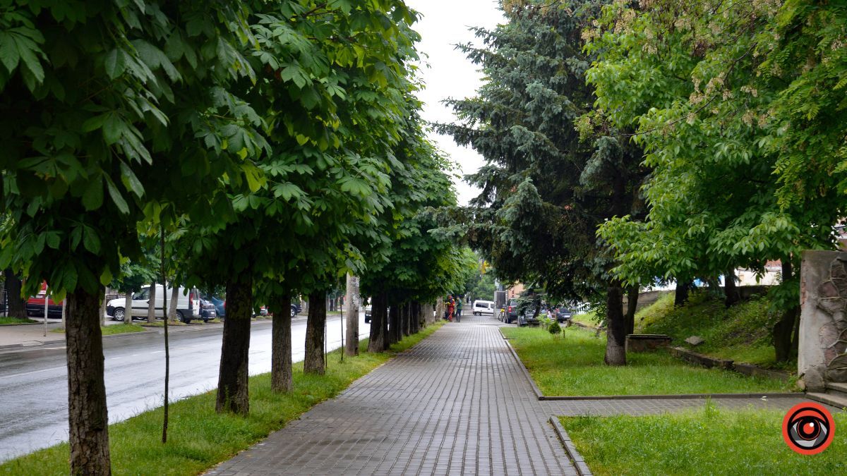 Прогулянка Коломиєю під літнім дощем | Фоторепортаж 19