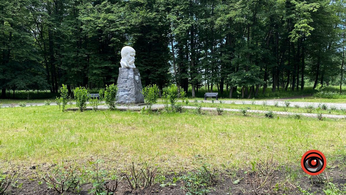 У парку Шевченка росте кропива заввишки в людський зріст 14