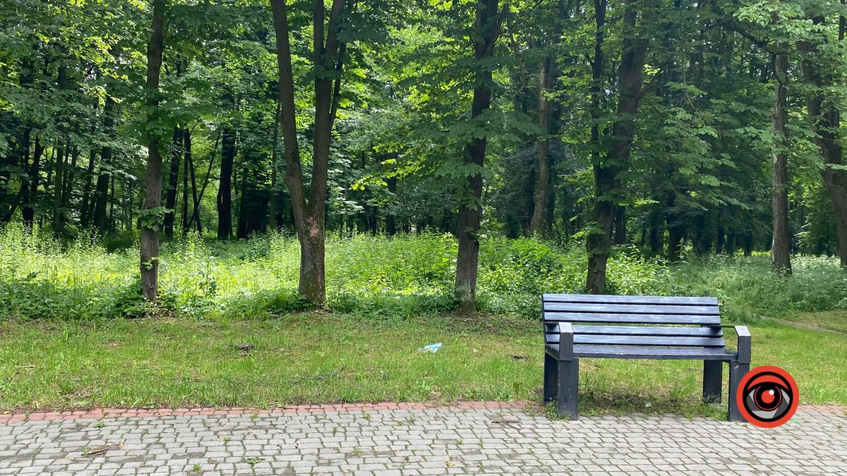 У парку Шевченка росте кропива заввишки в людський зріст 15