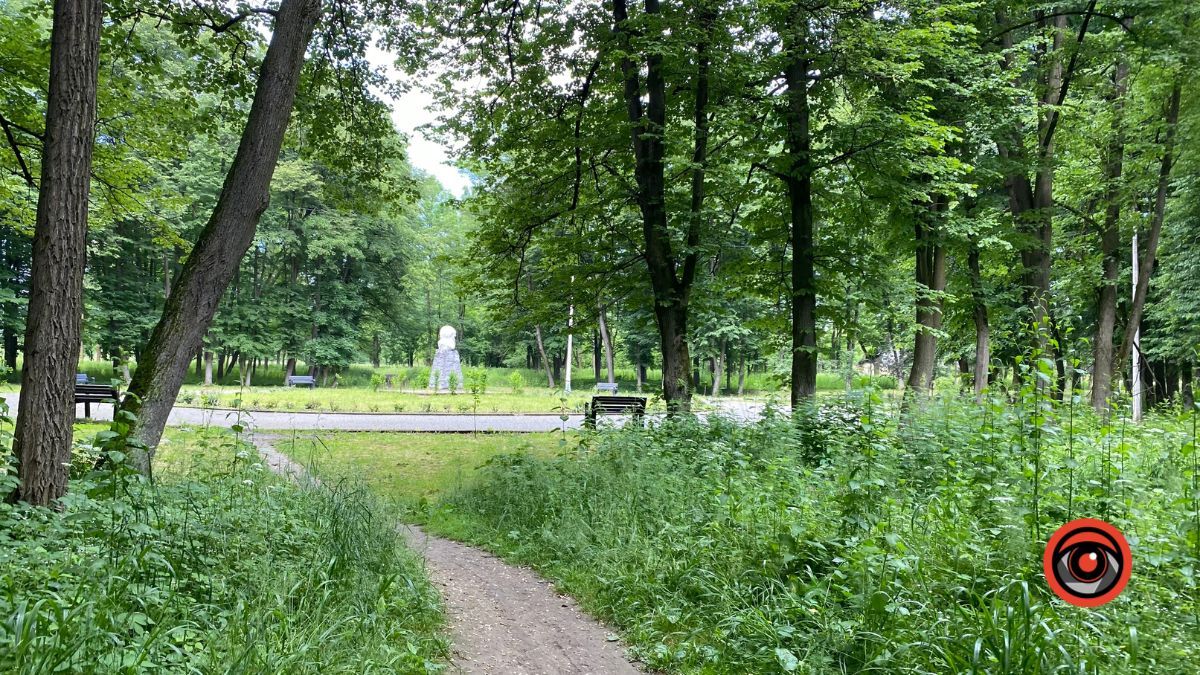 У парку Шевченка росте кропива заввишки в людський зріст 16