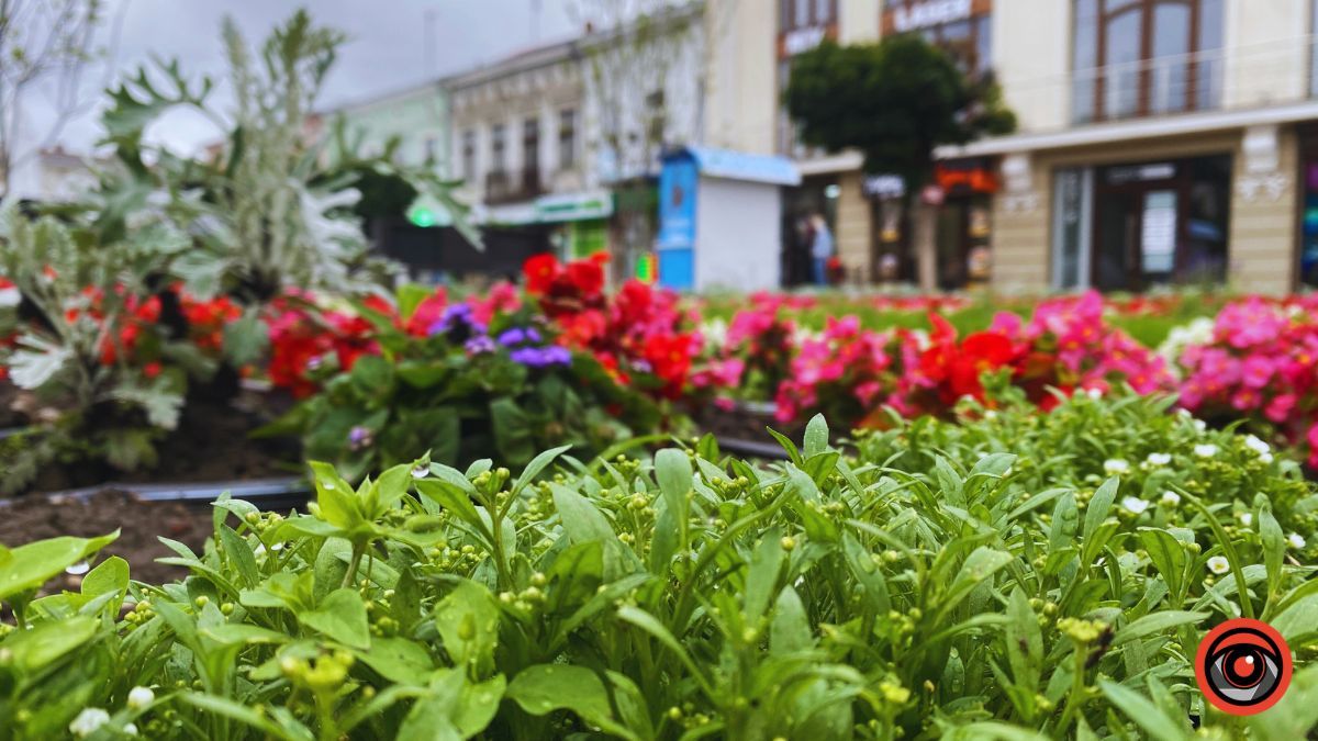Заквітчана площа Шевченка у Коломиї | недільний фоторепортаж від Інформатора 13