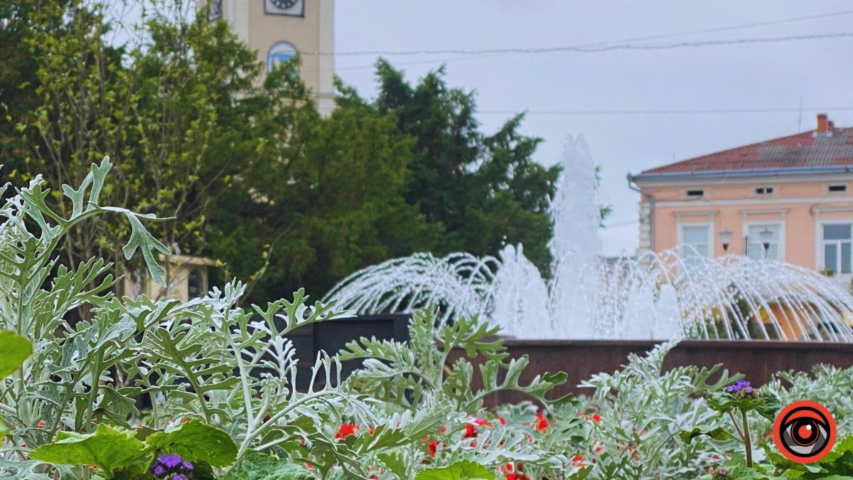 Заквітчана площа Шевченка у Коломиї | недільний фоторепортаж від Інформатора 1