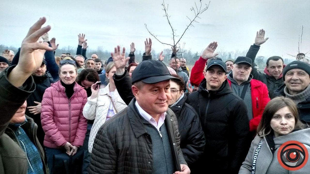 1 млн на борщівник, обрізку і зрізку дерев та корчування пнів: скільки заробив "Зеленосвіт" в Коломиї за пів року 2