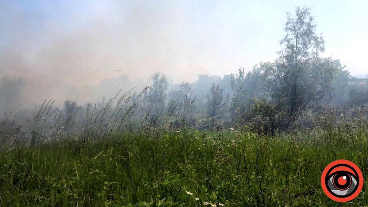 У Коломиї та Лісному Хлібичині - пожежі сухої трави на сотнях квадратних метрів 2