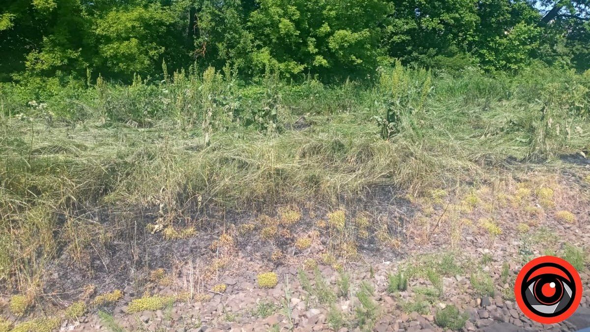 У Коломиї та Лісному Хлібичині - пожежі сухої трави на сотнях квадратних метрів 3