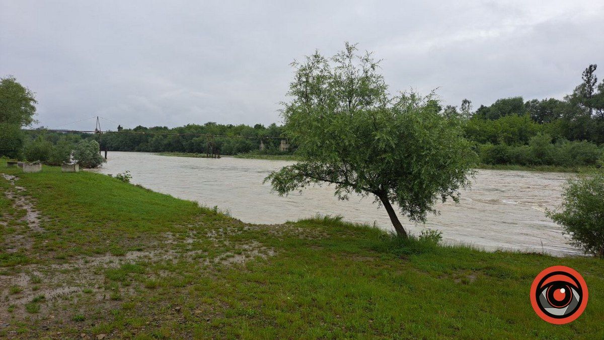 Яка сьогодні ситуація на річці Прут у Коломиї? 1