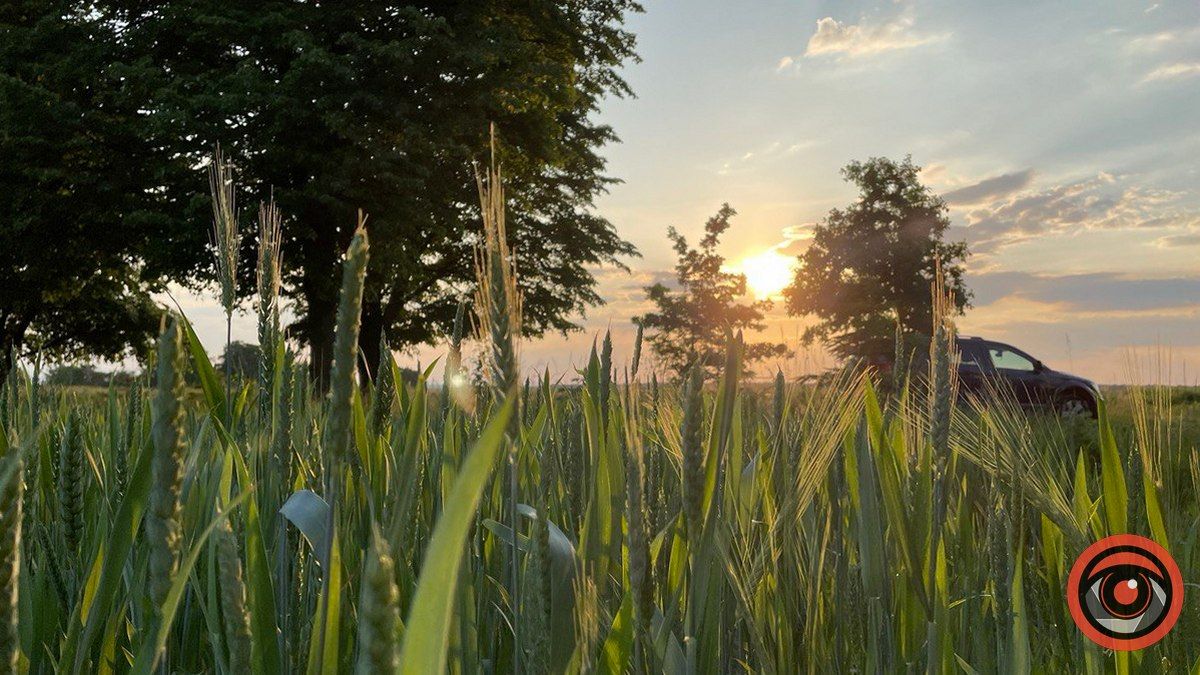 Сонячно: погода у Коломиї 3 червня
