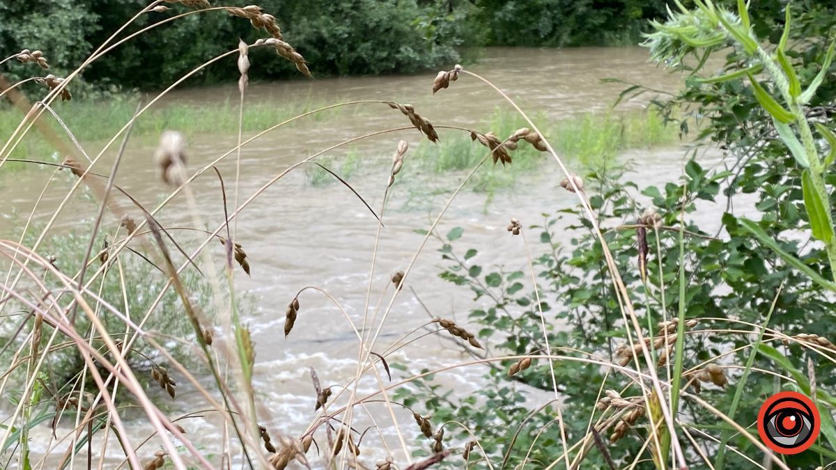На Коломийщині піднявся рівень води у річках | Фотофакти 19