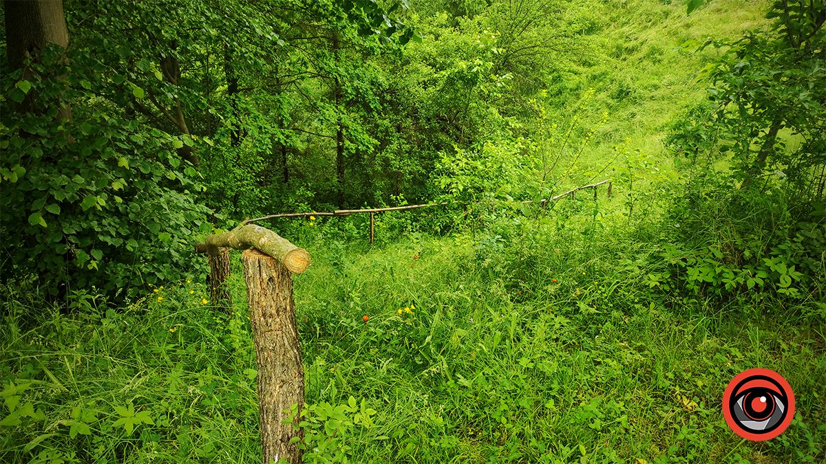 Мандруємо разом: плавучий острів Морського ока в Делятині | ВІДЕО 3