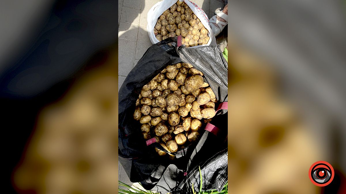 Ціни на коломийському ринку на продуктовий набір для літньої вечері 4