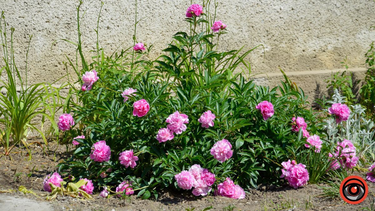 У Коломиї відкрили та освятили новий шелтер для ВПО 9