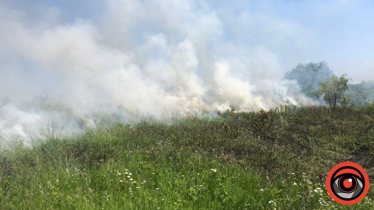 У Коломиї та Лісному Хлібичині - пожежі сухої трави на сотнях квадратних метрів 1