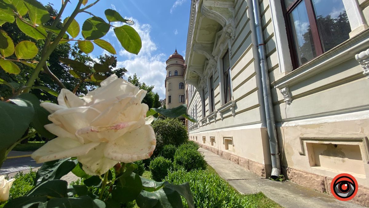 Трояндова Коломия | Фоторепортаж 6