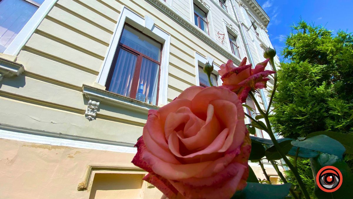 Трояндова Коломия | Фоторепортаж 7