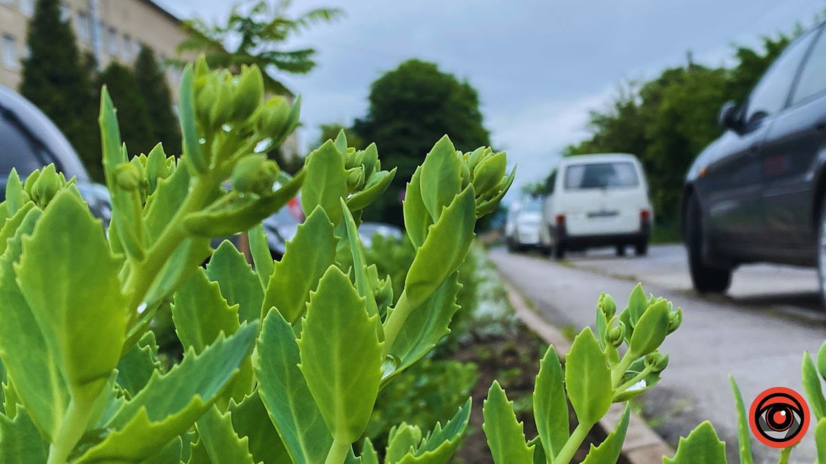 450 м вул. Йосипа Гірняка у Коломиї: історія 3