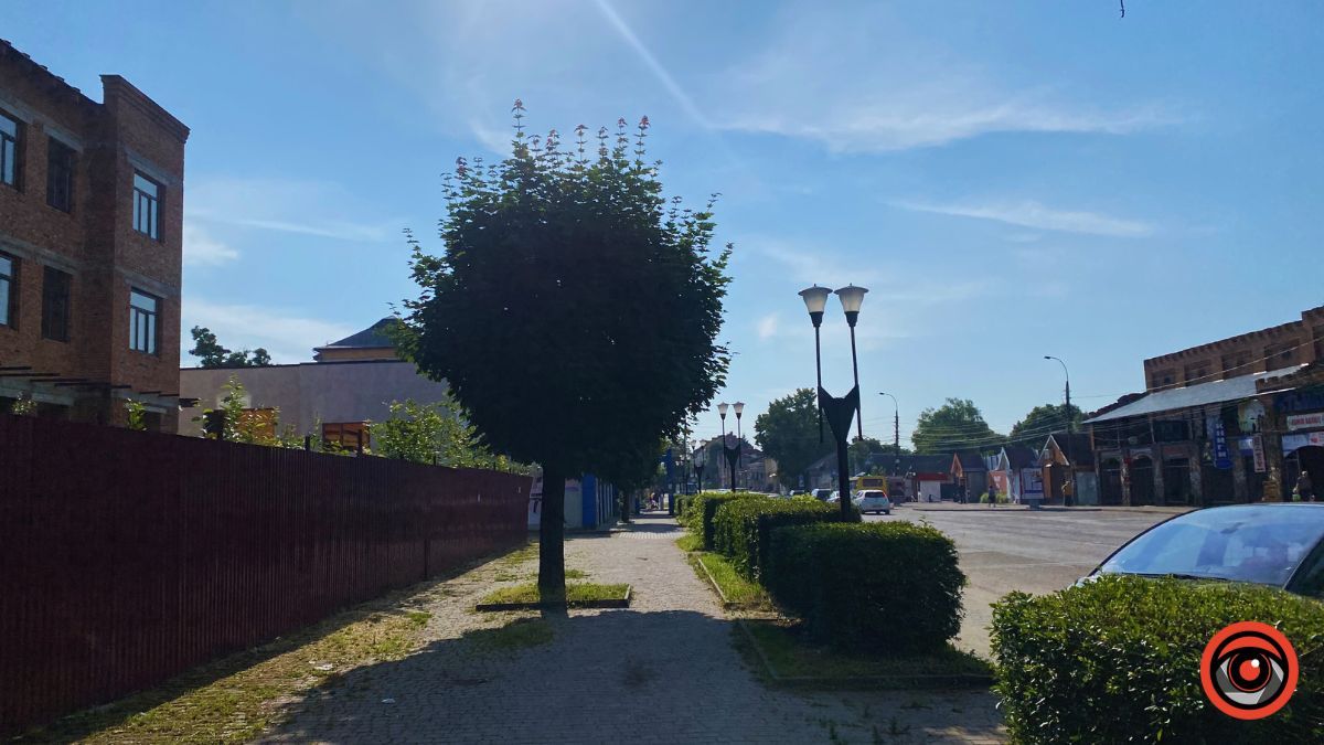 У пошуках прохолодного закутка на проспекті Грушевського 1