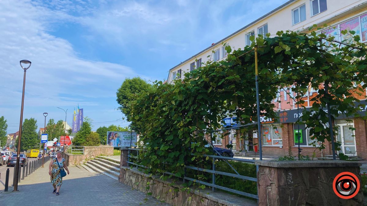 У пошуках прохолодного закутка на проспекті Грушевського 15