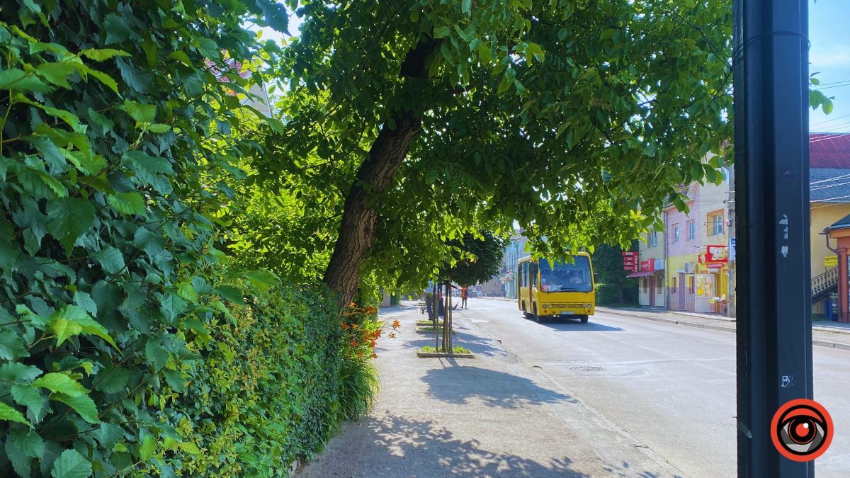 У пошуках прохолодного закутка на проспекті Грушевського 6