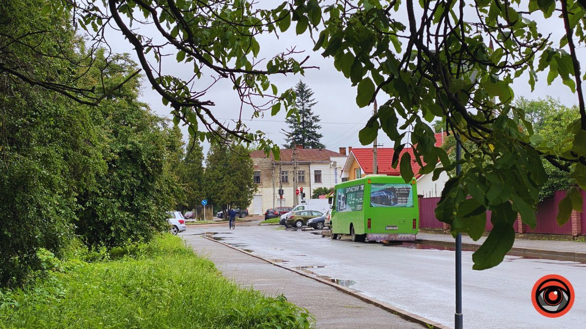 Історія 700 метрів вулиці Родини Крушельницьких у Коломиї 4