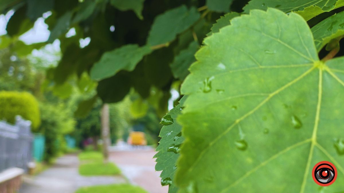 Історія 700 метрів вулиці Родини Крушельницьких у Коломиї 11