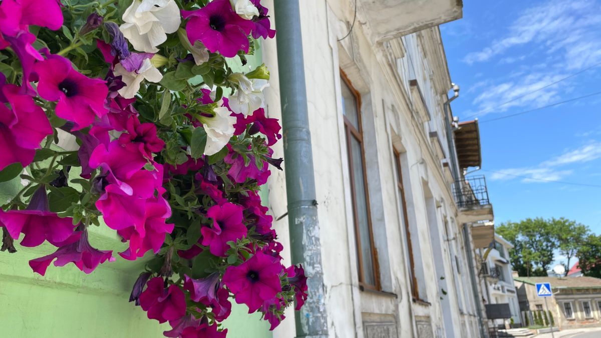 Історія Коломиї: вулиця Шевченка 17