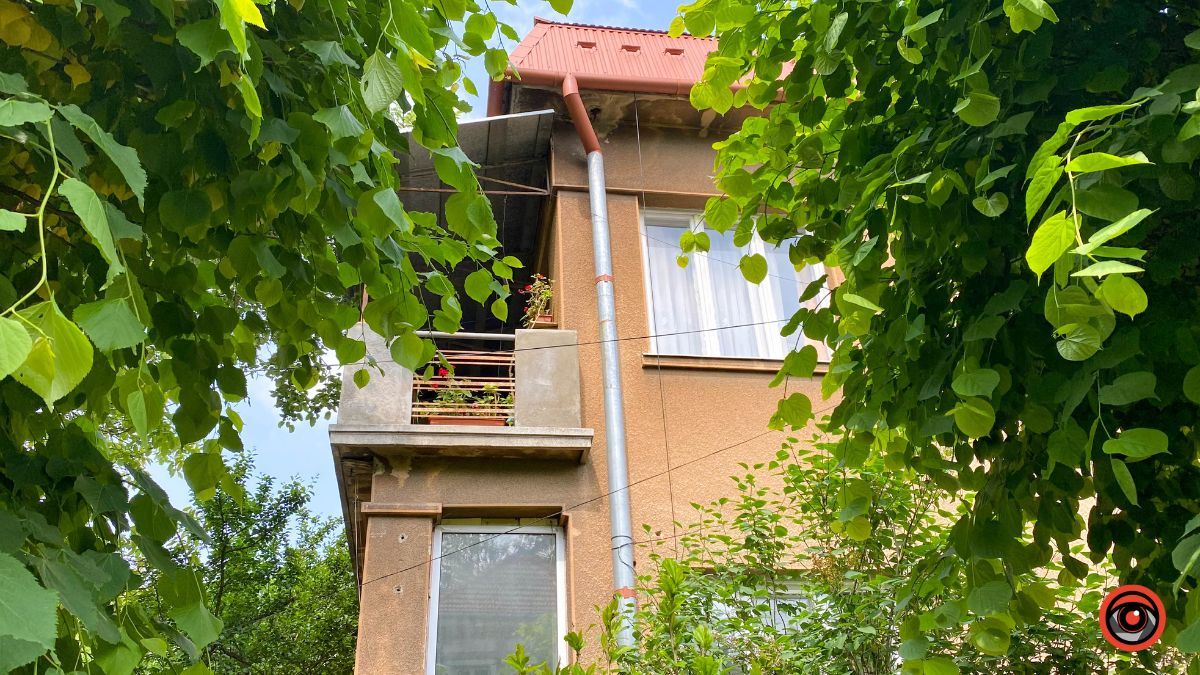 Зелена, спокійна та затишна: історія вулиці Остапа Терлецького 7