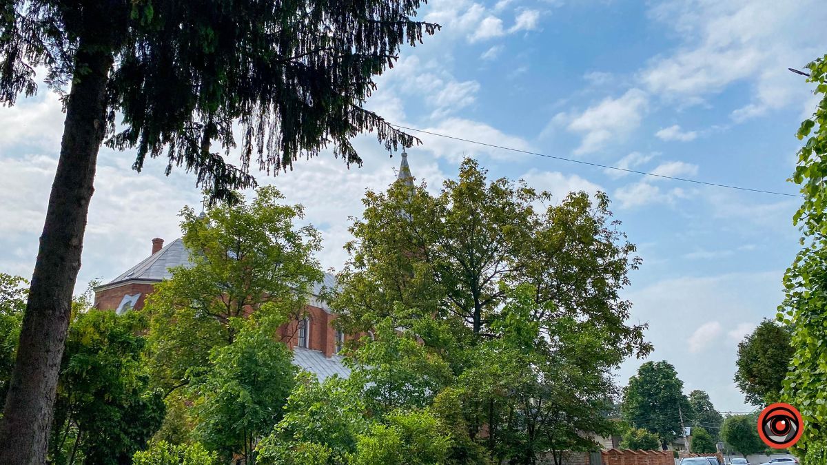 Зелена, спокійна та затишна: історія вулиці Остапа Терлецького 5