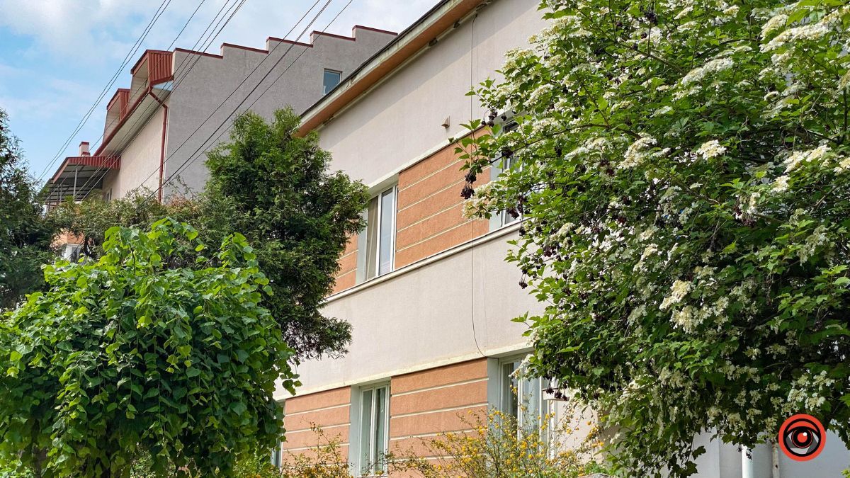 Зелена, спокійна та затишна: історія вулиці Остапа Терлецького 6