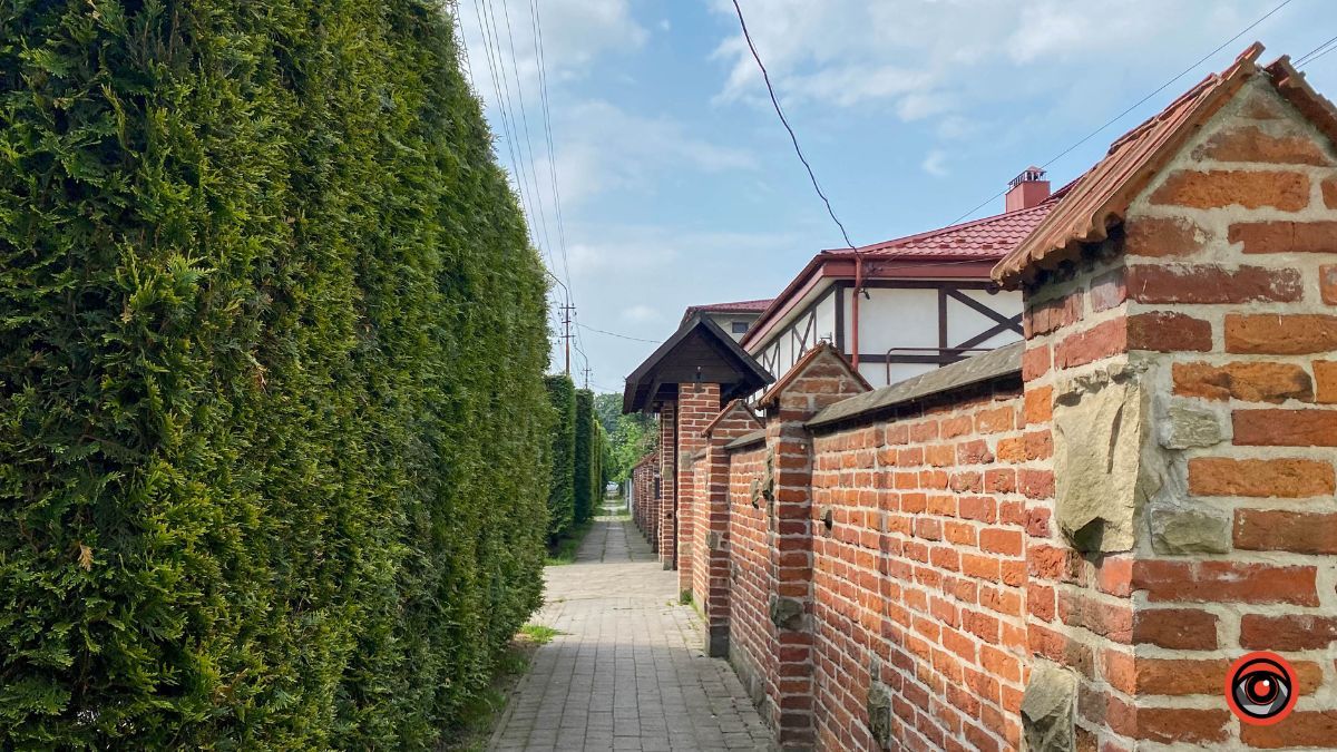 Зелена, спокійна та затишна: історія вулиці Остапа Терлецького 17