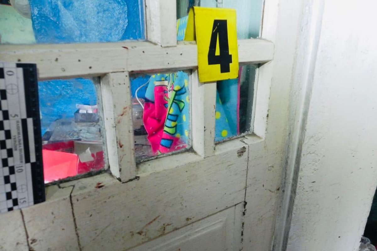 Нові подробиці вбивства у Малому Ключеві: нападнику загрожує максимальний термін 3