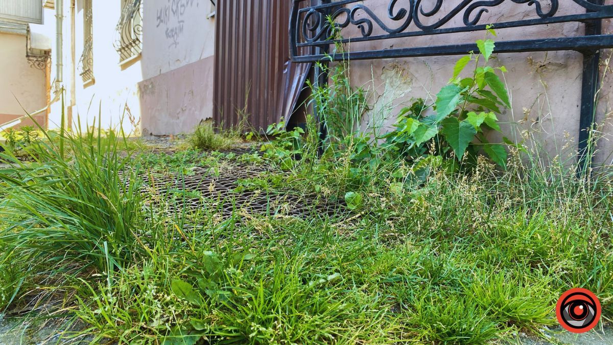 Чи можливо потрапити до Центру зайнятості в Коломиї та які особливості обслуговування людей з інвалідністю | ІНКЛЮЗІЯ 6