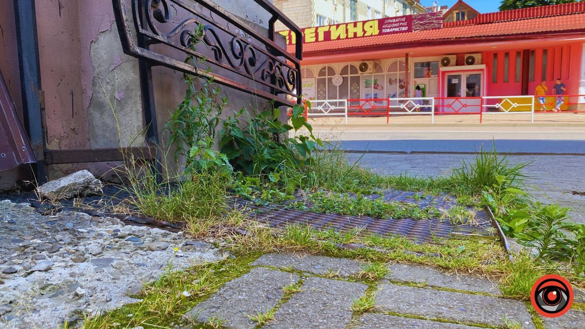 Чи можливо потрапити до Центру зайнятості в Коломиї та які особливості обслуговування людей з інвалідністю | ІНКЛЮЗІЯ 7