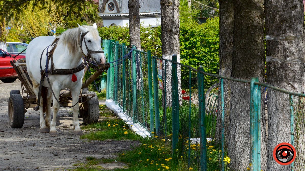 Велика Кам'янка: історія села, яке колись було містом 4