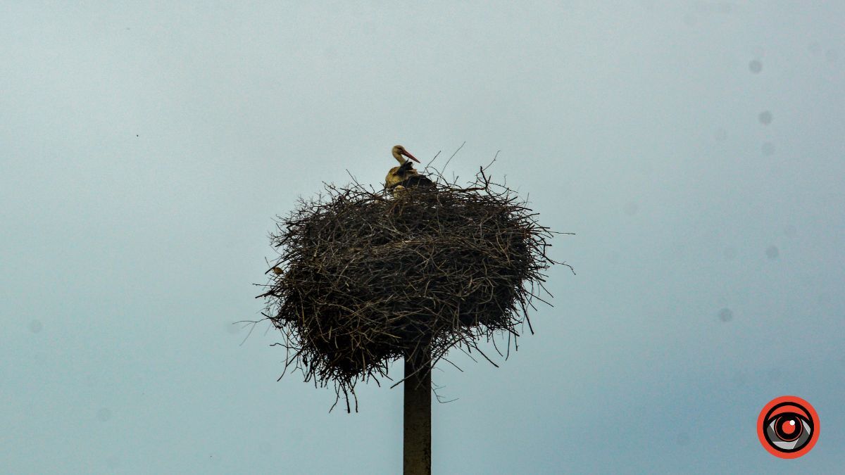 Велика Кам'янка: історія села, яке колись було містом 12