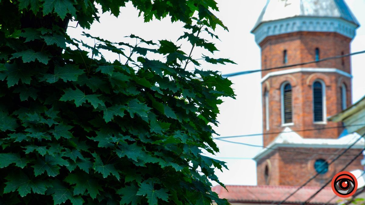 Недільна вулиця Франка у Коломиї | фоторепортаж 9