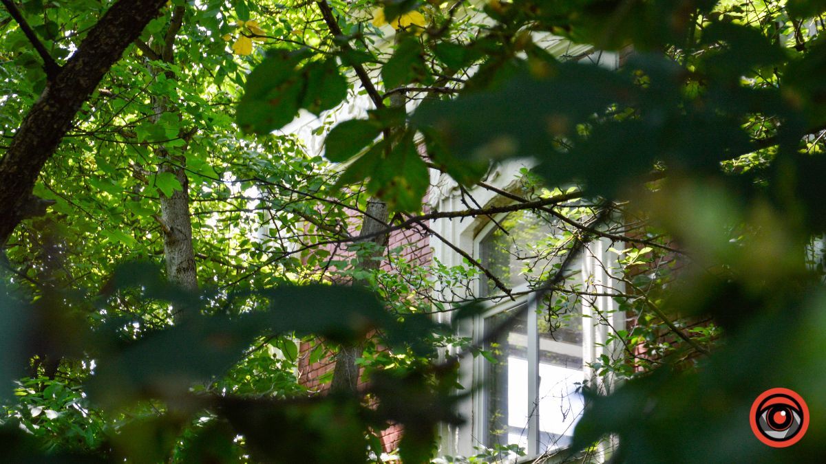 Недільна вулиця Франка у Коломиї | фоторепортаж 23