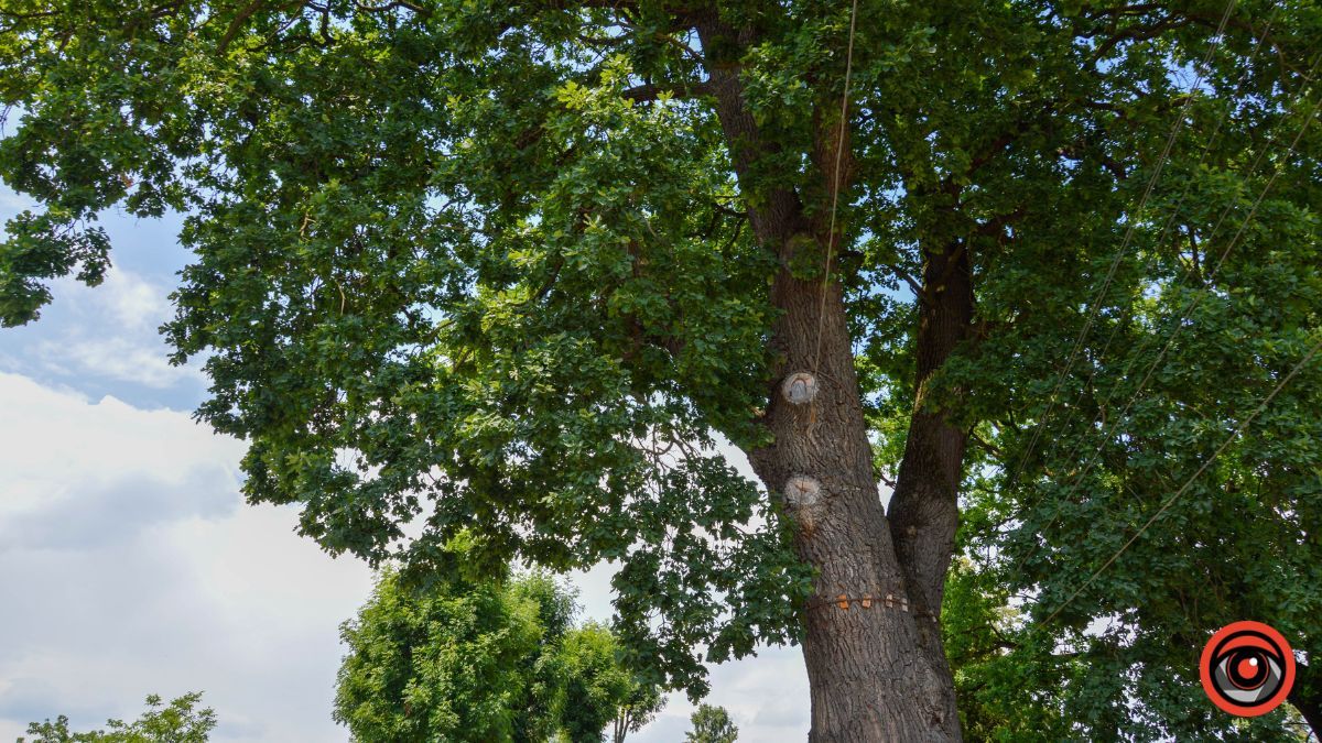 Недільна вулиця Франка у Коломиї | фоторепортаж 34