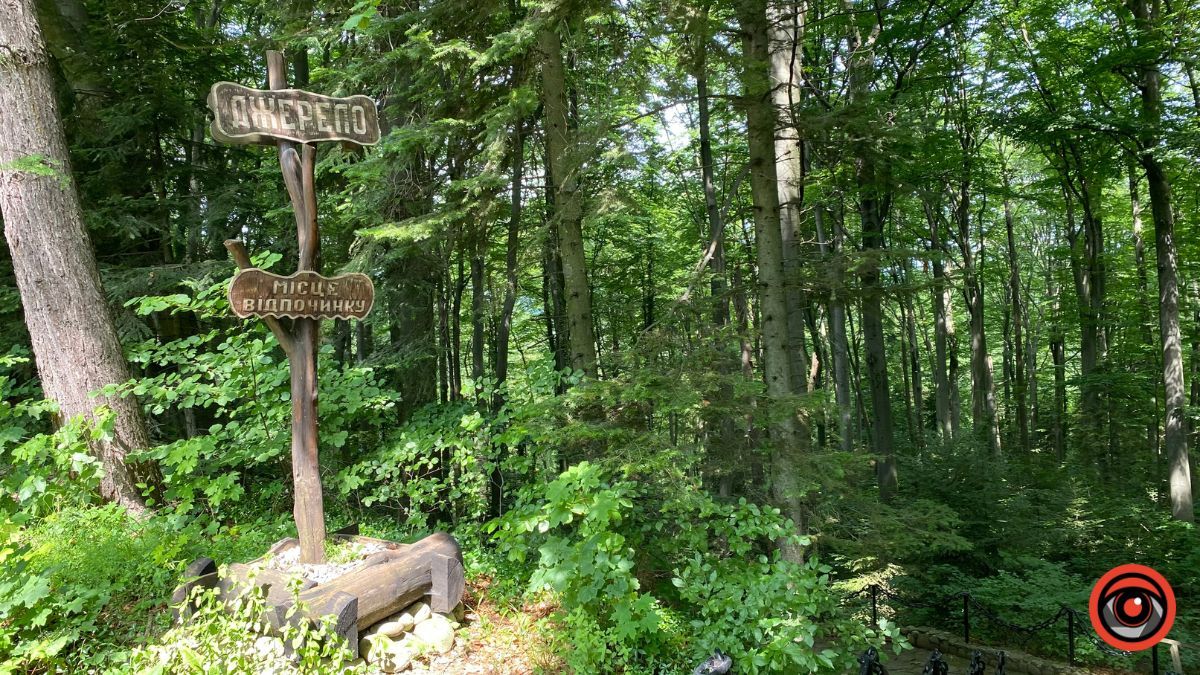 Відпочинок поруч Коломиї | Тисовий заповідник у Княждворі 1