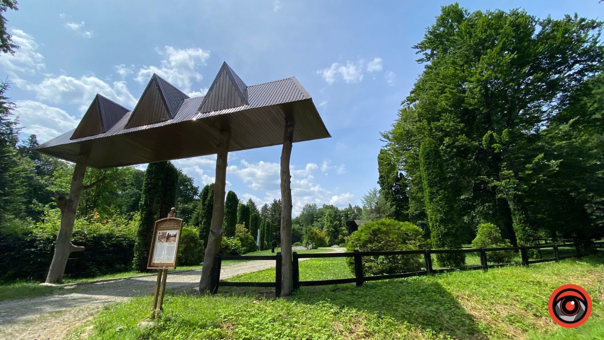 Відпочинок поруч Коломиї | Тисовий заповідник у Княждворі 2