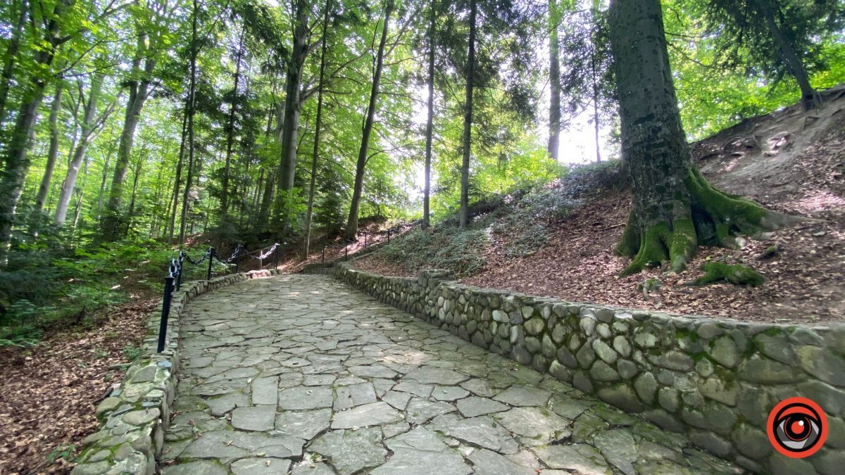 Відпочинок поруч Коломиї | Тисовий заповідник у Княждворі 4