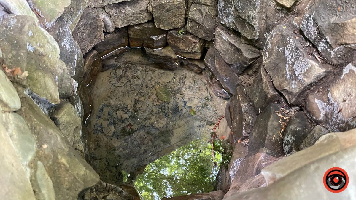 Відпочинок поруч Коломиї | Тисовий заповідник у Княждворі 6