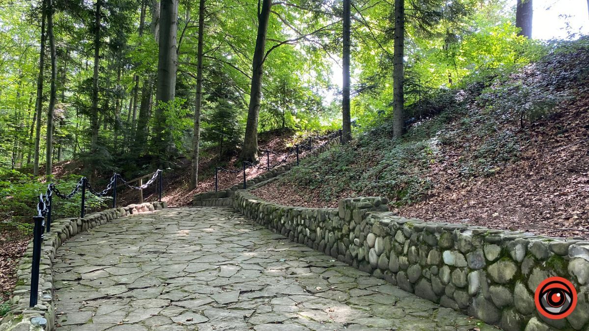 Відпочинок поруч Коломиї | Тисовий заповідник у Княждворі 7